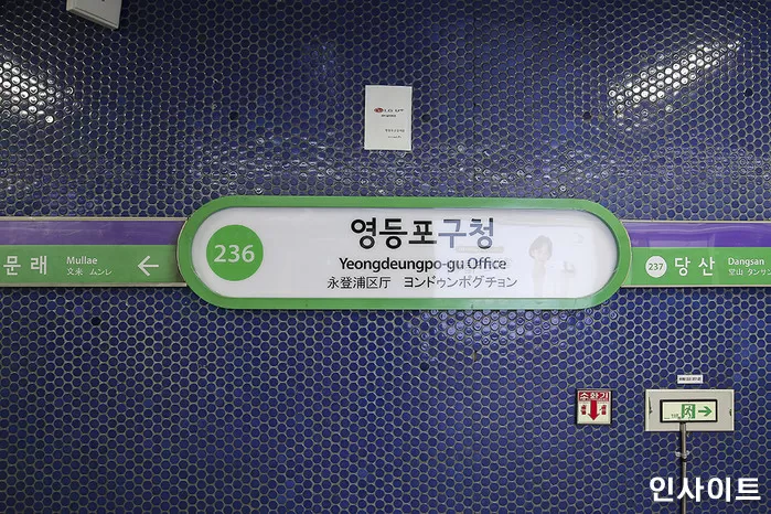 인사이트