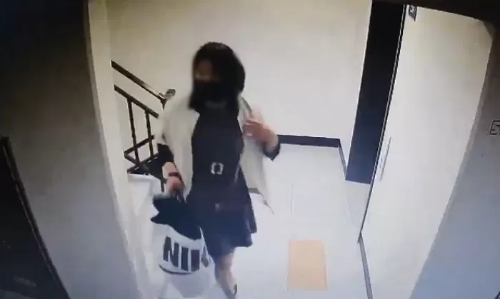 인사이트