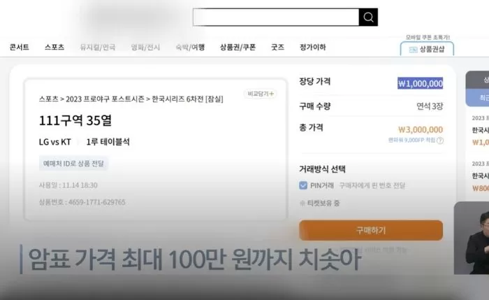 인사이트