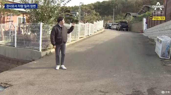 인사이트