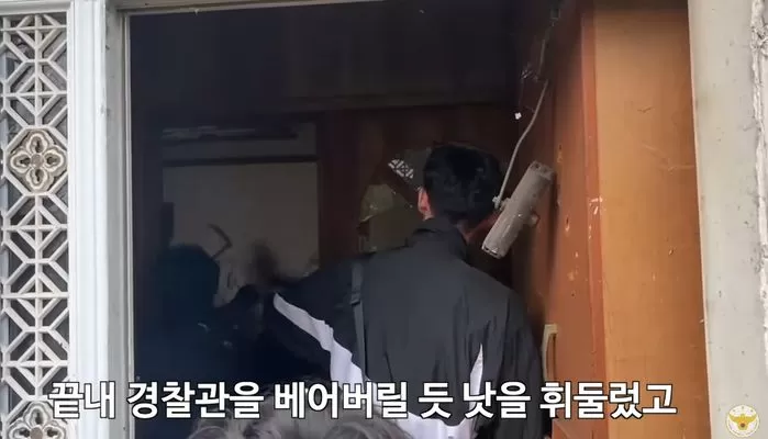 인사이트