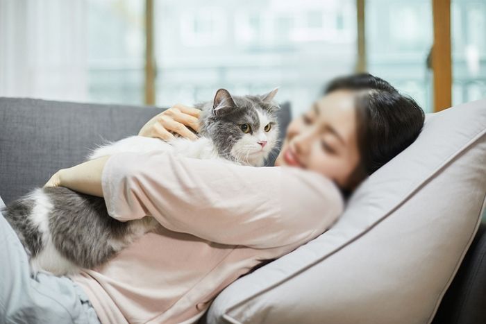 남편이 ‘고양이 알레르기’ 생겼는데도 약 먹이면서 2년 동안 버티게 만든 아내