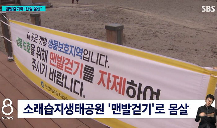 ‘맨발 걷기’ 몸에 좋다며 아무데나 들어가는 어르신들 때문에 파괴된 생태계
