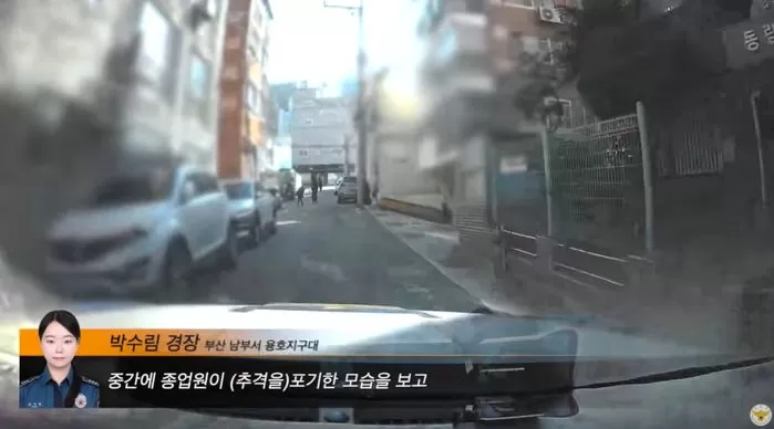 인사이트