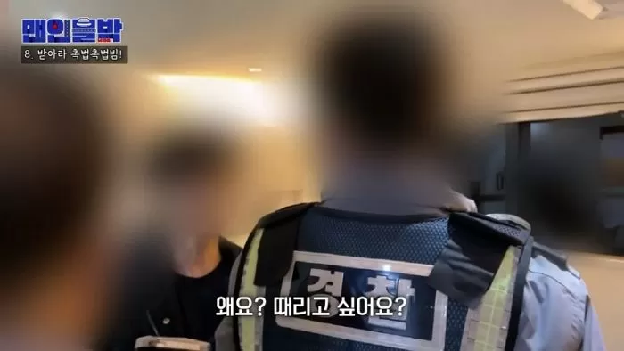 인사이트