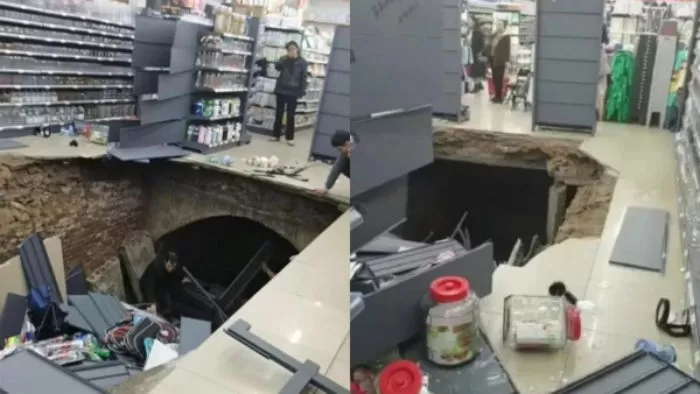 인사이트
