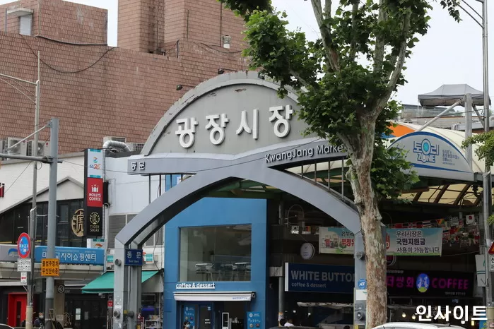 인사이트