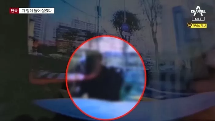 인사이트