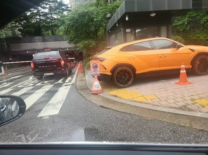 보배드림
