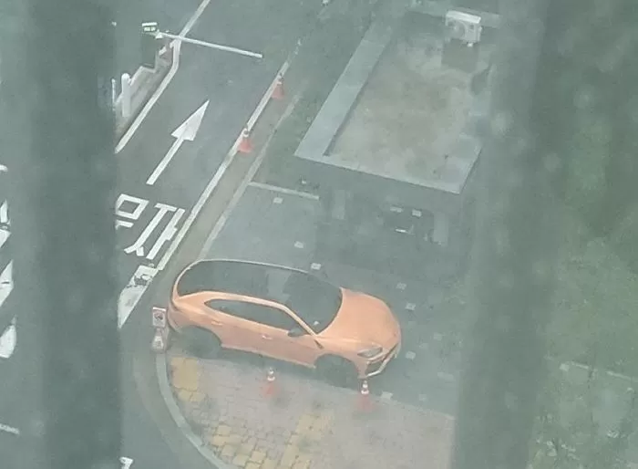 보배드림