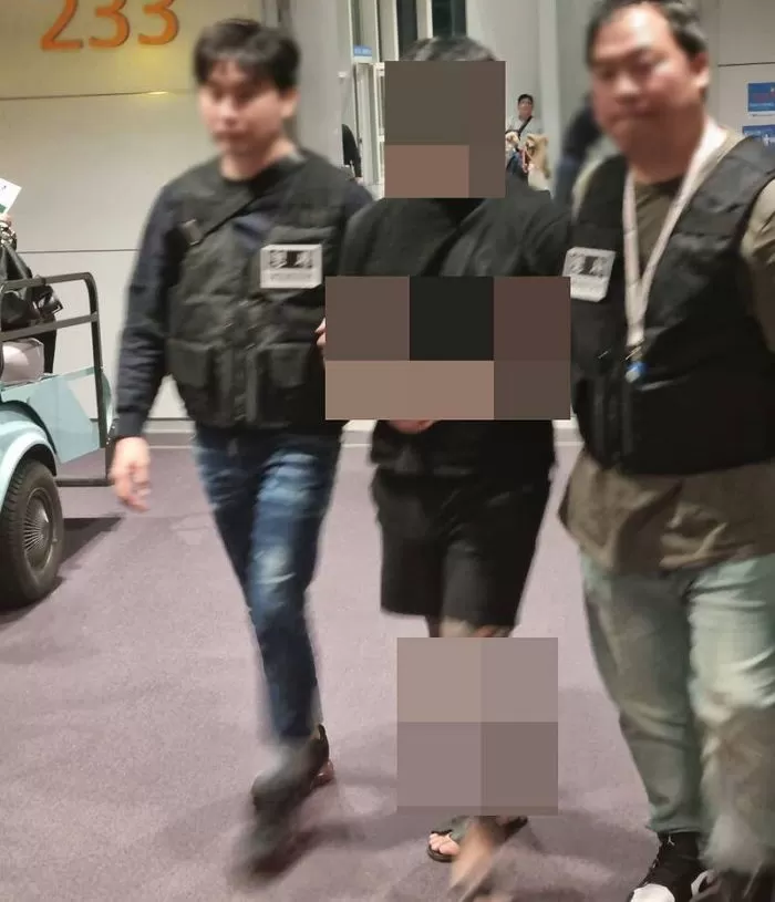 인사이트
