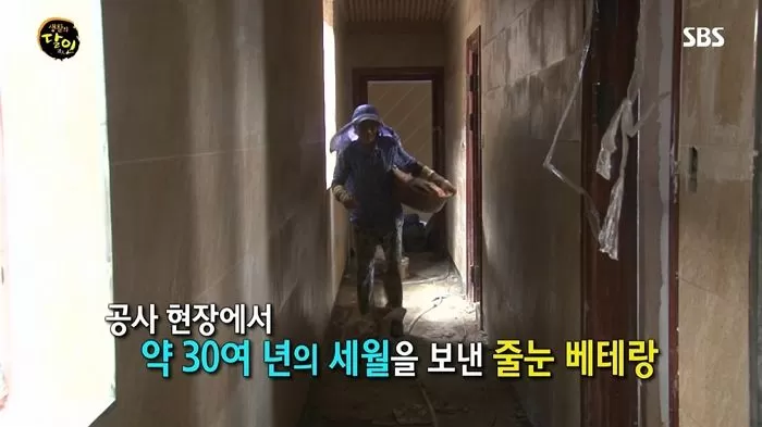 인사이트