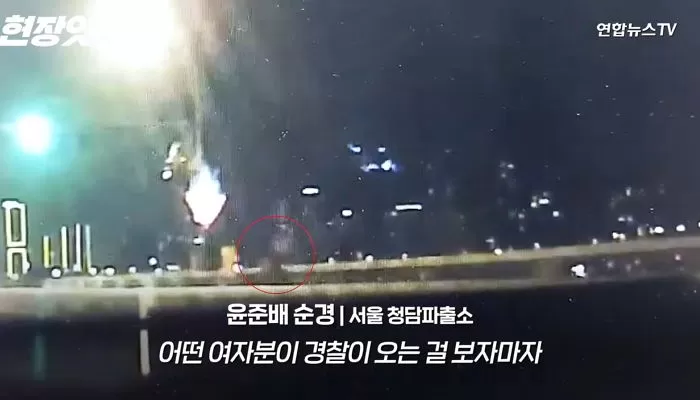 인사이트