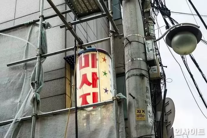 인사이트