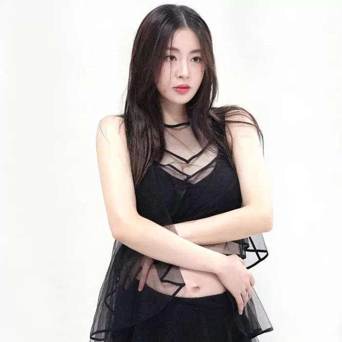 인사이트