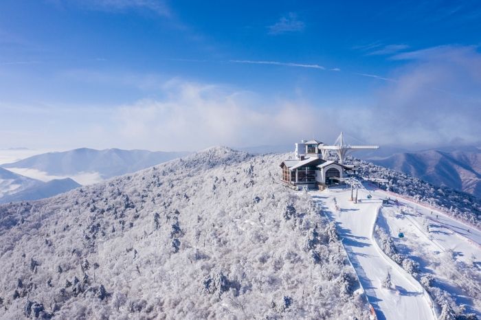 산에선 눈 펑펑 쏟아졌는데 해안가엔 200mm 폭우 내린 강원도 상황