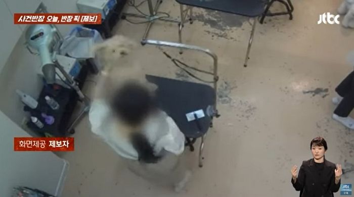 목 잡아 흔들고 주먹으로 옆구리 가격...고양시의 한 애견샵에서 벌어진 충격 상황 (영상)