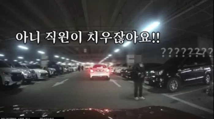 인사이트