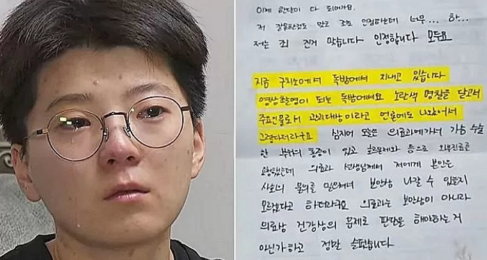 인사이트