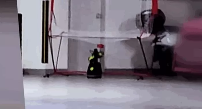 인사이트