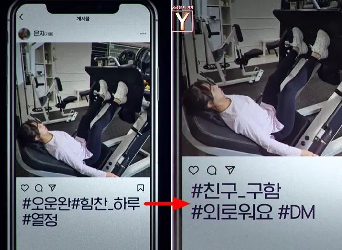 인사이트