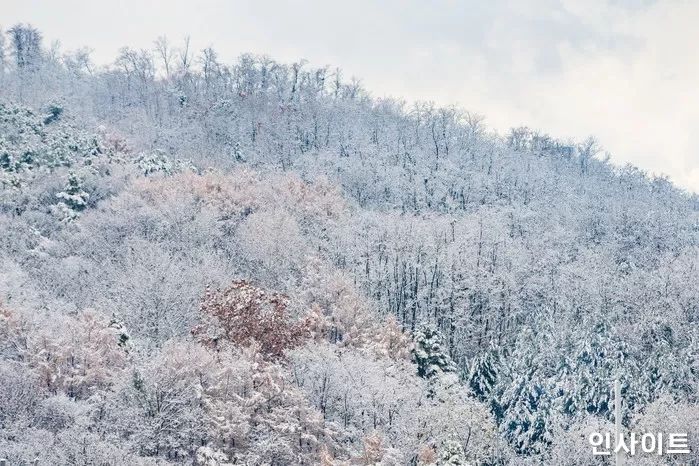 한파속 설악산 등반하던 남녀 2명 숨진 채 발견