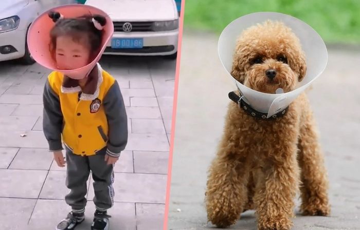 스마트폰 중독 막겠다며 5살 손녀에 ‘반려견 넥 카라’ 씌운 할아버지 (영상)