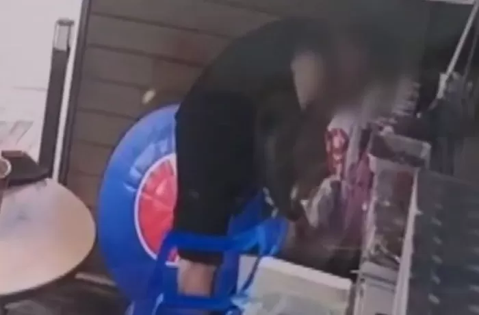 인사이트