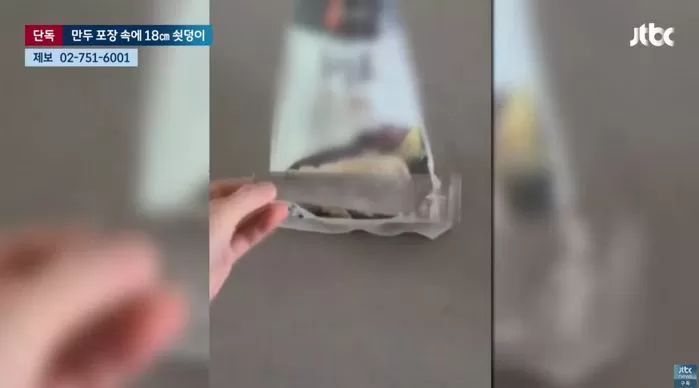 인사이트