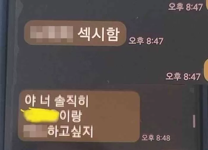 “xx 하고 싶지 니 Xx 섹시”초등학교 5학년 아이가 보내는 성희롱 문자 수준 인사이트 7461