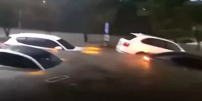 뉴스1