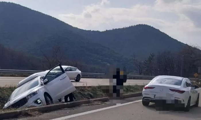 인사이트