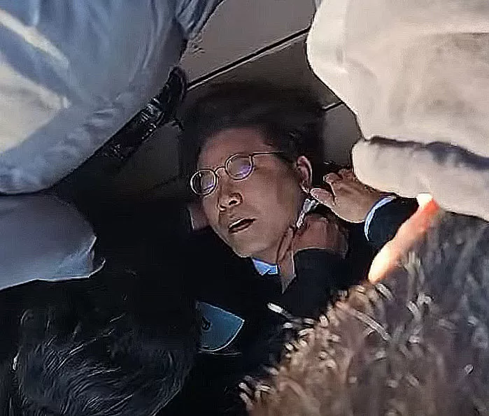 인사이트