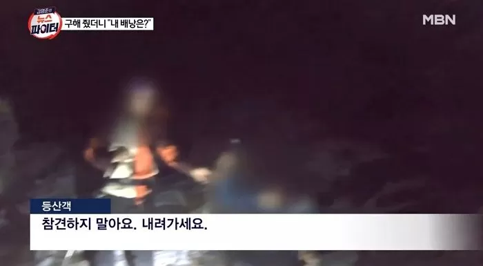 인사이트
