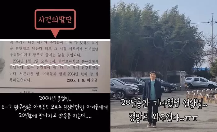 인사이트