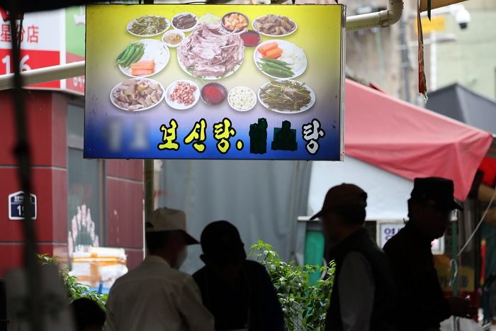 한국의 ‘개 식용 금지법’ 통과 소식에 ‘동물권 선진국’인 독일 누리꾼들이 보인 반전 반응
