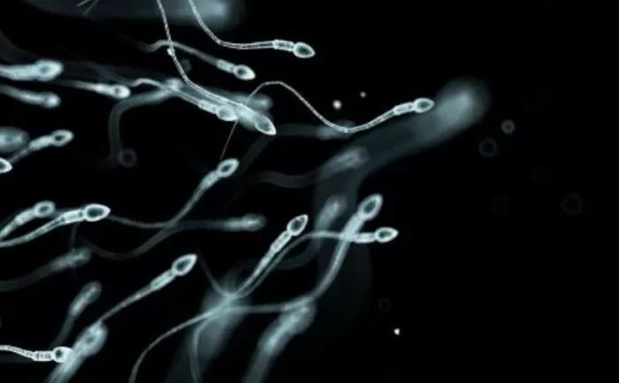 아이 둘 먼저 떠나보낸 60대 여성, 죽은 남편 아이 갖고 싶어 시신서 ‘정자 채취’