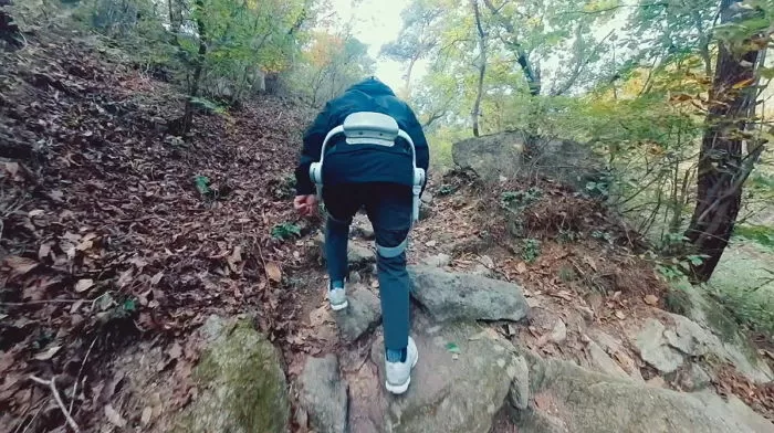 인사이트