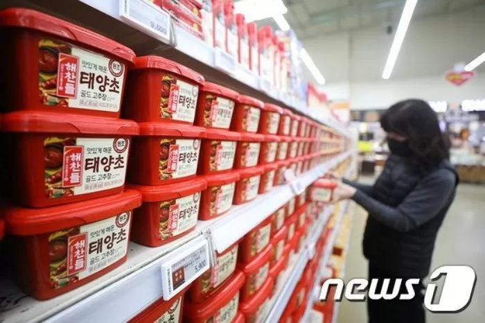 뉴스1