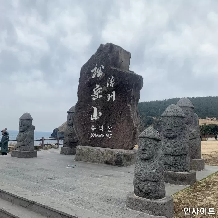 인사이트