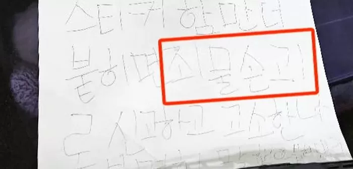인사이트