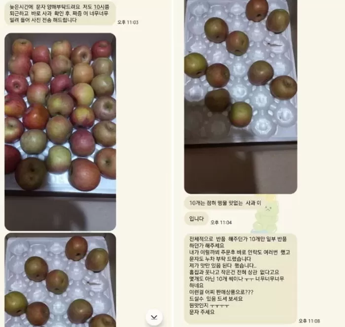 인사이트