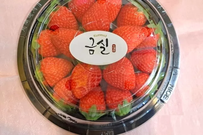 인사이트