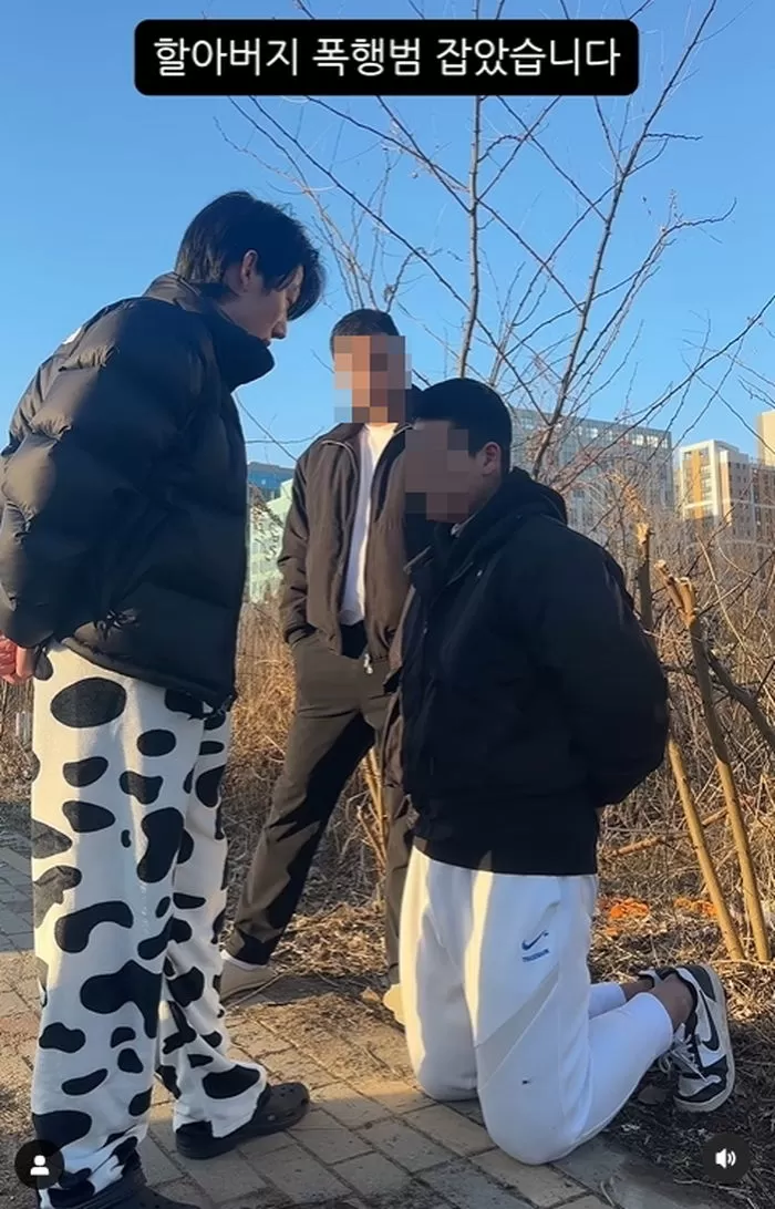 인사이트