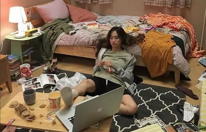 인사이트