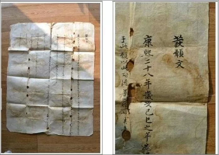 인사이트