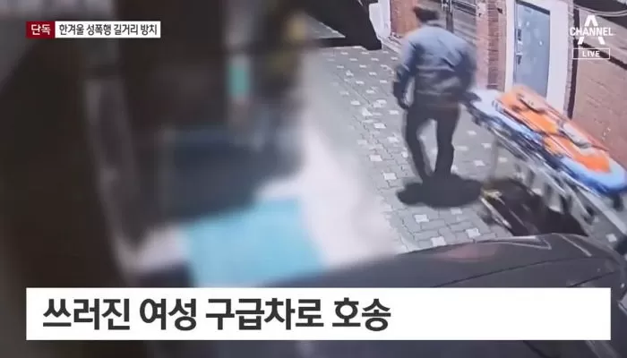인사이트