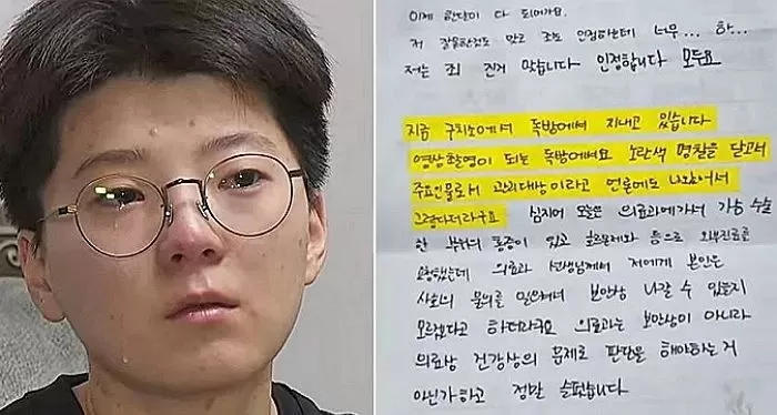 인사이트
