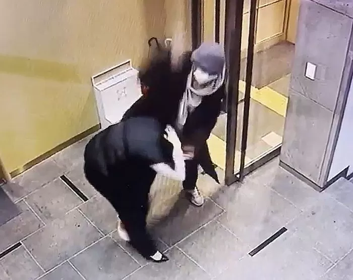 인사이트