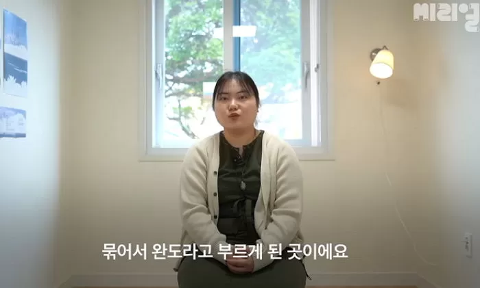인사이트
